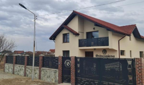 Casa Brâncușiana, Tîrgu Jiu